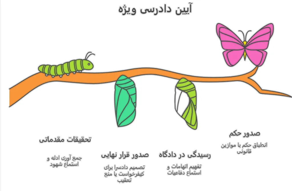 آیین دادرسی ویژه
