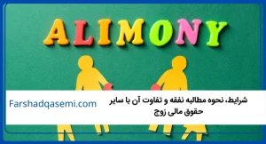 شرایط، نحوه مطالبه نفقه و تفاوت آن با سایر حقوق مالی زوج